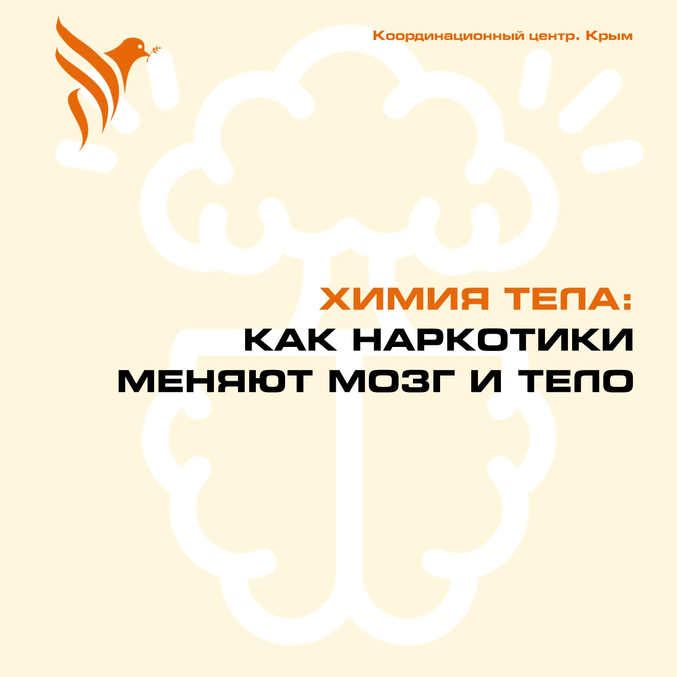 Химия тела — как наркотики меняют мозг и тело