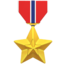🎖