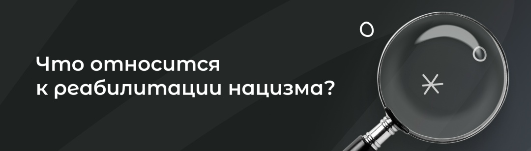 Ответственность за реабилитацию нацизма, изображение №3